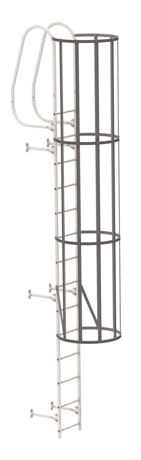 back guard for wall ladder