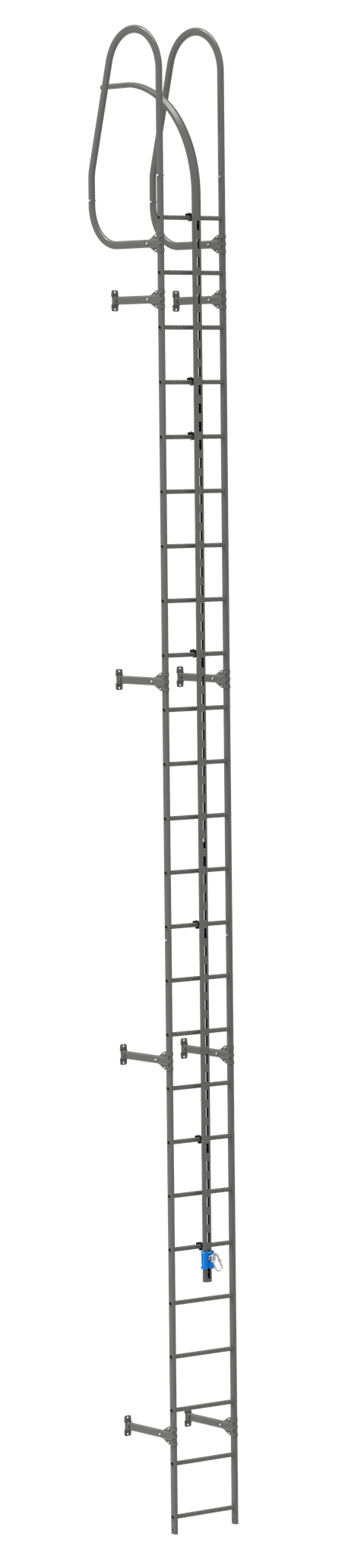 safegrip-wall-ladder-with-vertical-rail